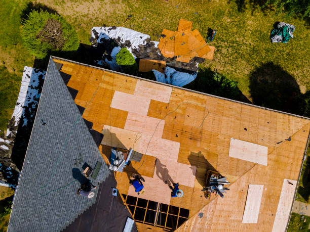 Best Emergency Roof Repair  in Hollymead, VA