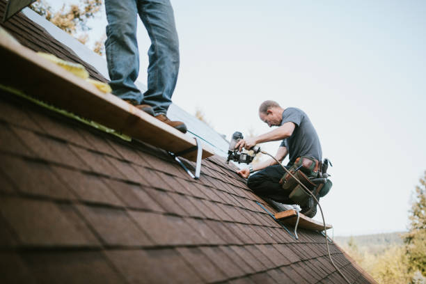 Best Storm Damage Roof Repair  in Hollymead, VA